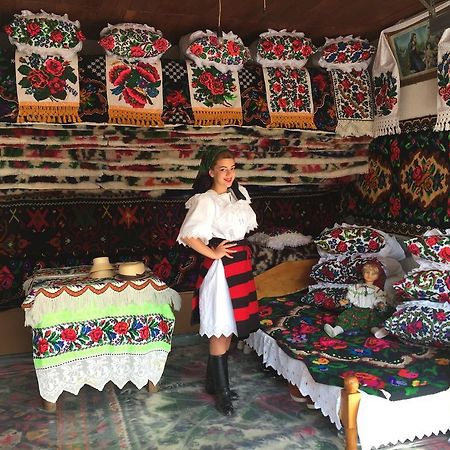 Pensiunea Maramures Ocna Şugatag Exterior foto