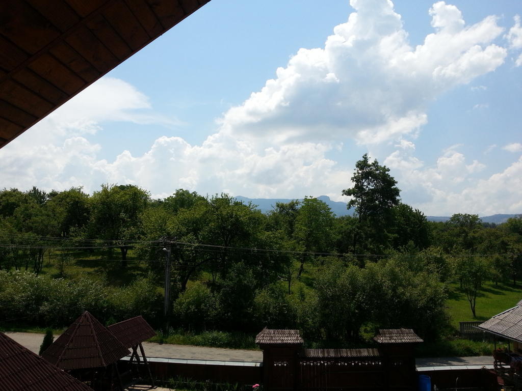 Pensiunea Maramures Ocna Şugatag Exterior foto
