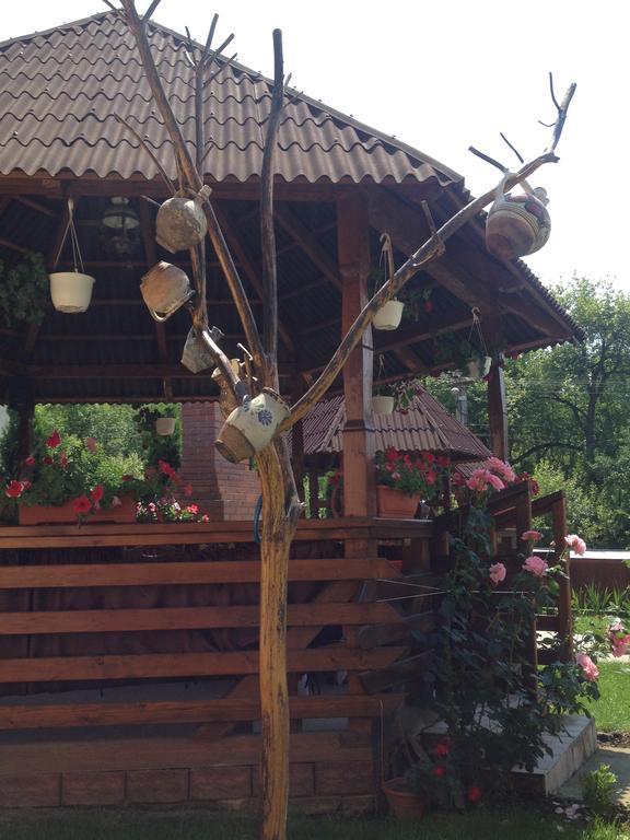 Pensiunea Maramures Ocna Şugatag Exterior foto