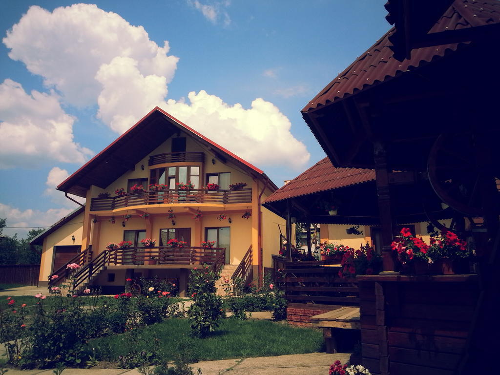 Pensiunea Maramures Ocna Şugatag Exterior foto