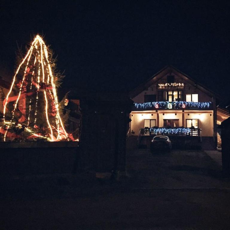 Pensiunea Maramures Ocna Şugatag Exterior foto