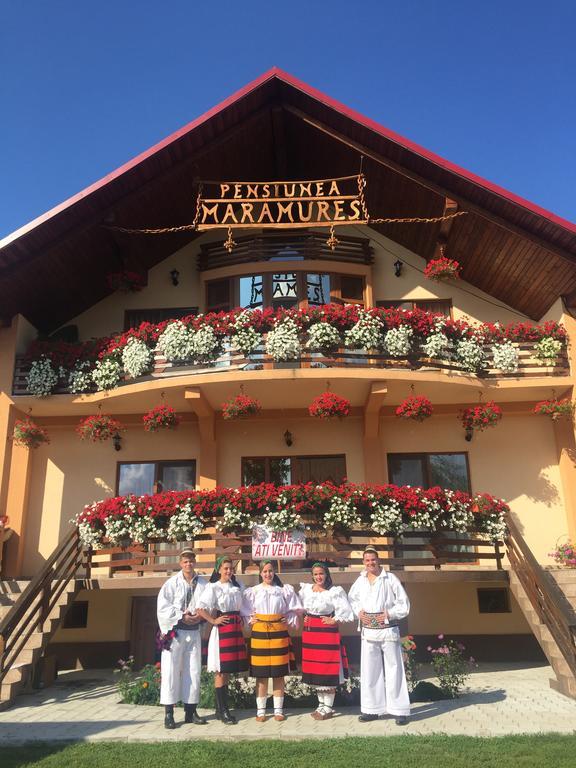 Pensiunea Maramures Ocna Şugatag Exterior foto